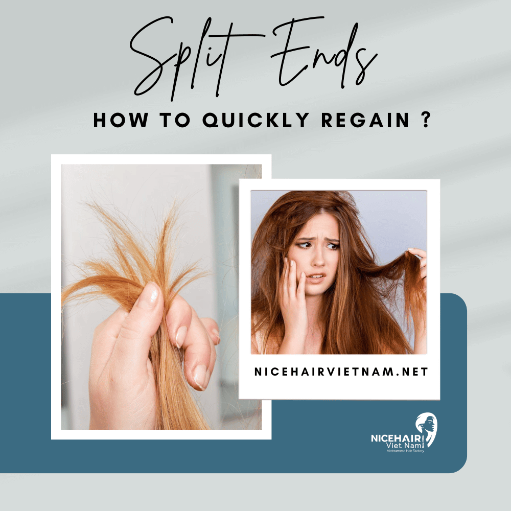 How to quickly regain shine and health for split ends