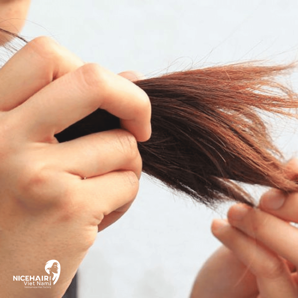 Split ends can make the hair appear dry, dull and unhealthy