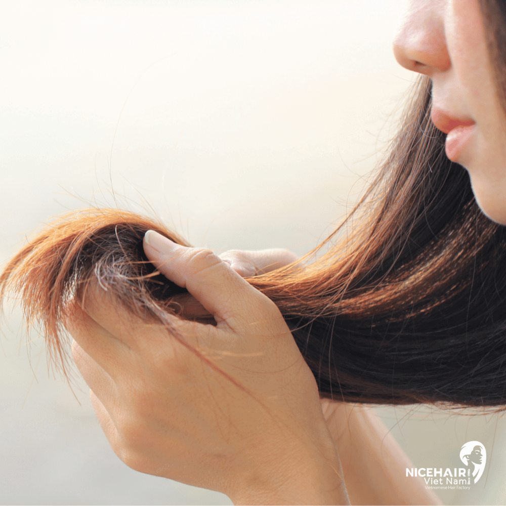 When hair lacks elasticity, it becomes more brittle and fragile