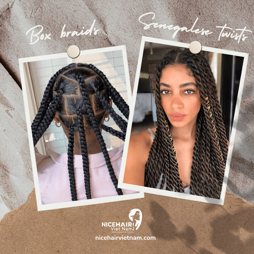 Box braids and senegalese twists