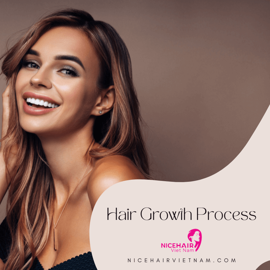 The Hair Growth Process